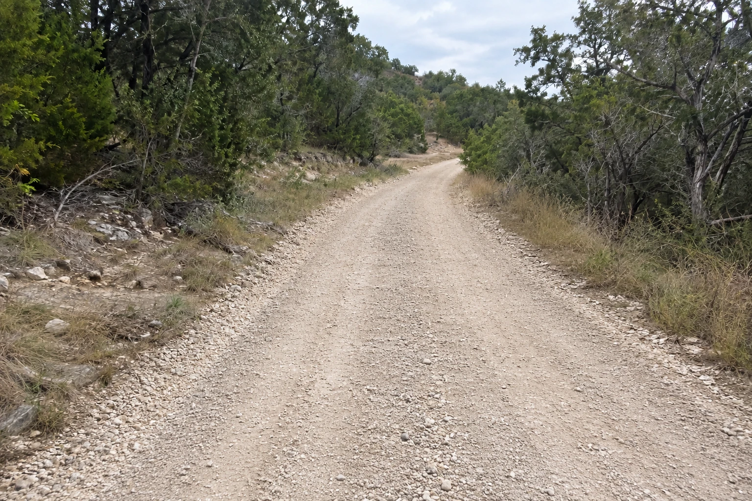Compacted limestone surface along the same ranch lane