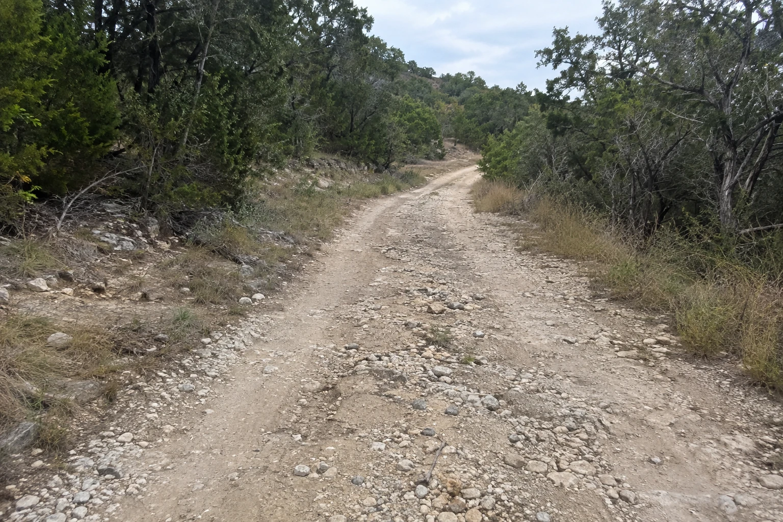 Rutted ranch lane winding through oak and juniper