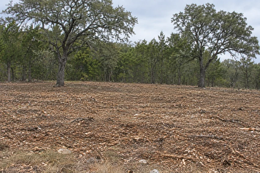 Forestry Mulching project concept