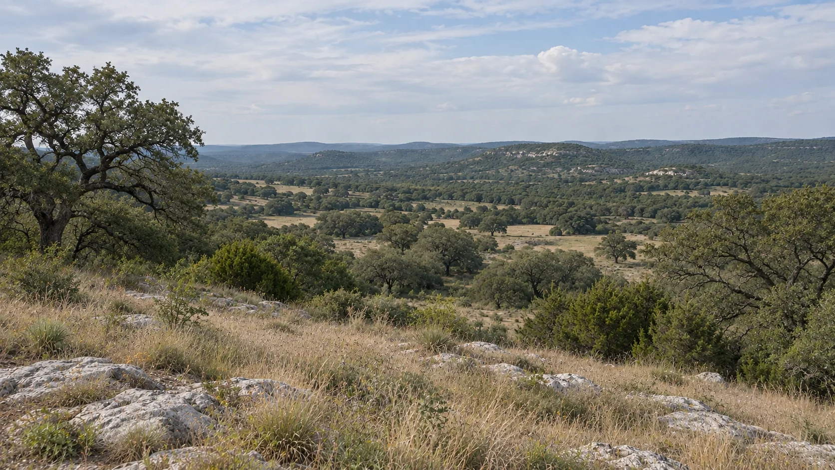 Rolling limestone hills and open native pasture with scattered oak and cedar trees