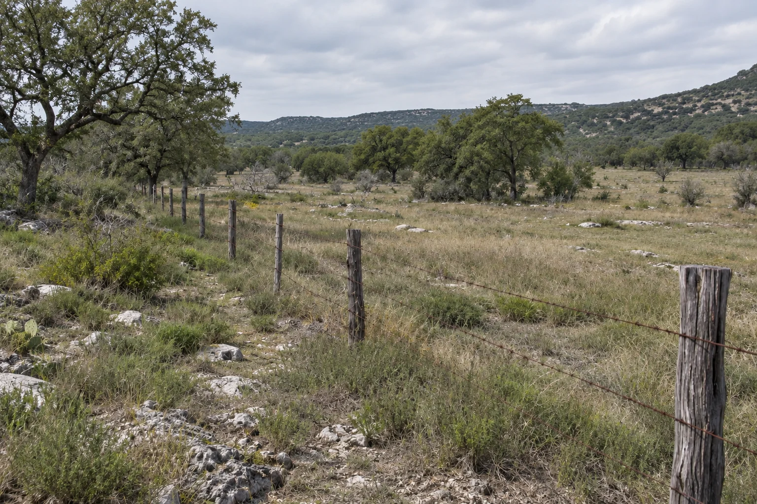 Weathered fence posts bordering rocky native pasture and a low wooded ridge