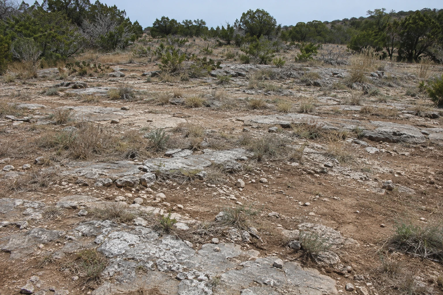 Exposed limestone ledges across a rocky ranch work area